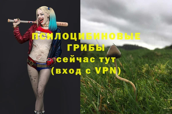 спиды Баксан