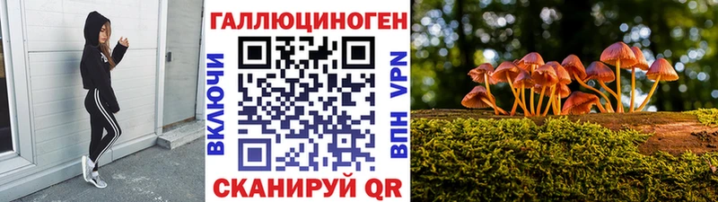 где можно купить   мега   Псилоцибиновые грибы мицелий  darknet Telegram  Заволжье 